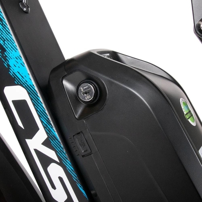 US EU STOCK High Power E Bikes Electric Bicycle 1000w 750w 50kmh Cysum Ebike m900