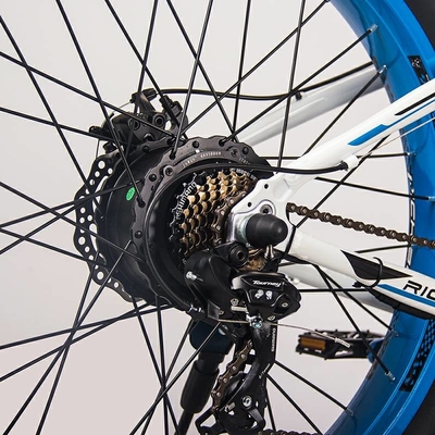 US EU STOCK 1000W High Power Electric Bike Fat Tire All Terrain 21 Speed 17Ah 26 Inch RICH BIT 012