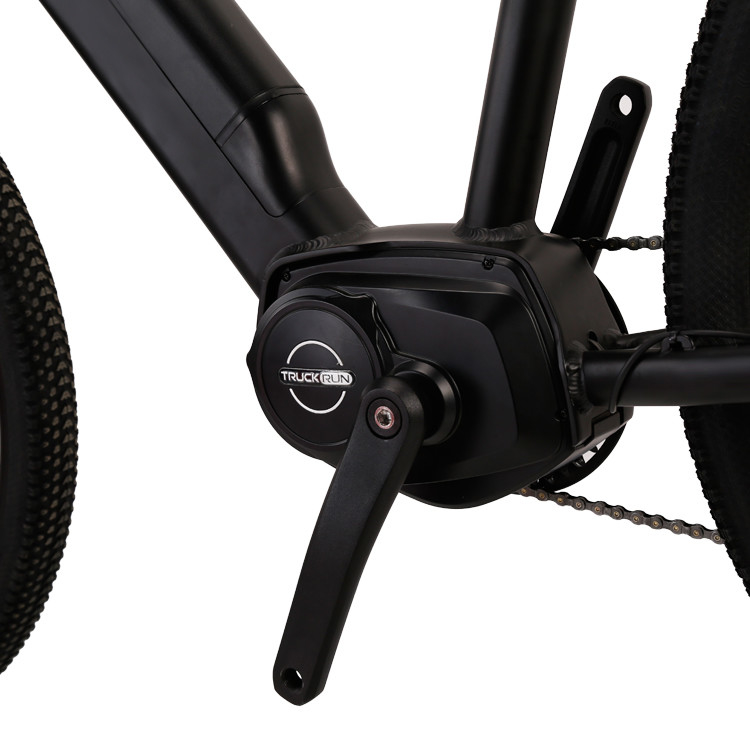 Mid Drive Electric Mountain Bike Long Range 29