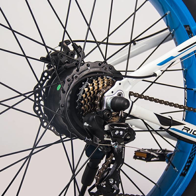 US EU STOCK 1000W High Power Electric Bike Fat Tire All Terrain 21 Speed 17Ah 26 Inch RICH BIT 012