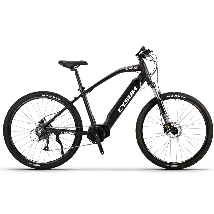 Mid Drive Electric Mountain Bike Long Range 29